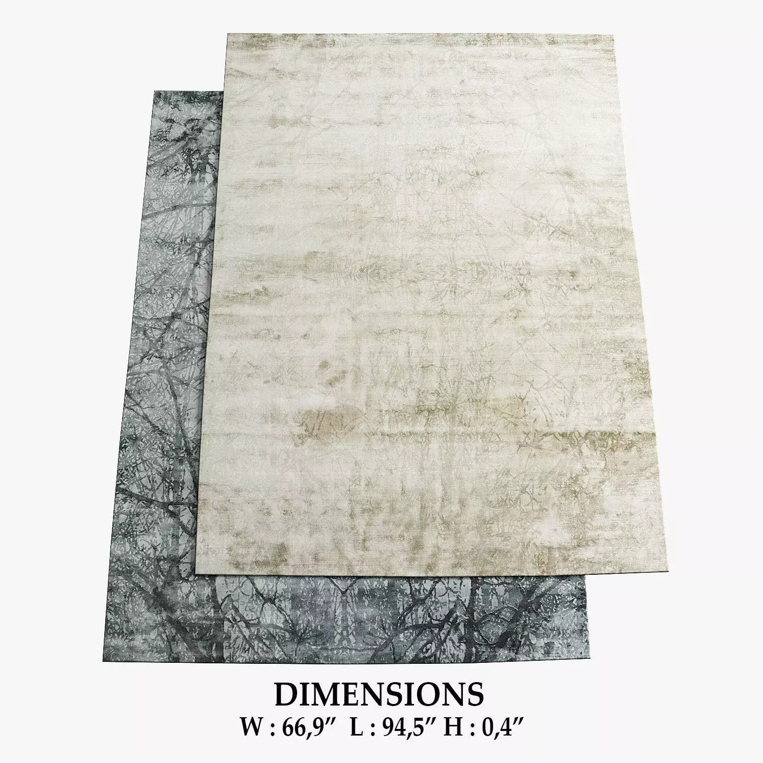 Aimi Rugs 166 3D model_0