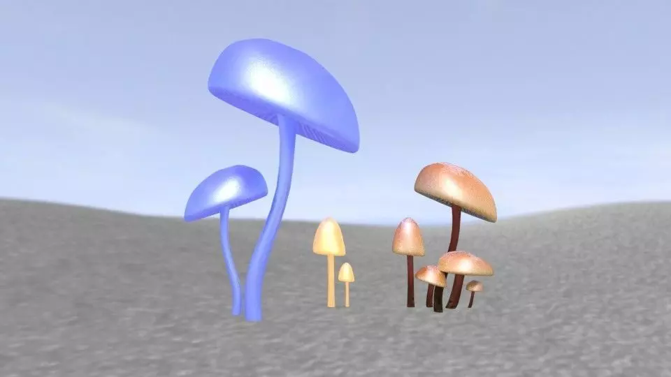Shrooms 2 group of mushrooms in desert Low-poly 3D model_0