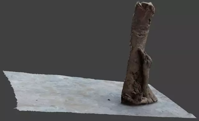 half bark or wood piece 3D model_0