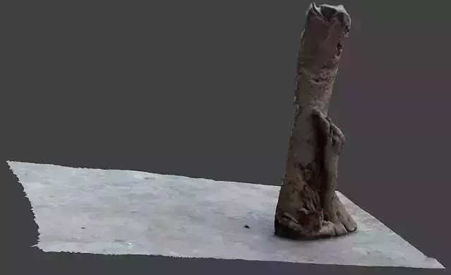 half bark or wood piece