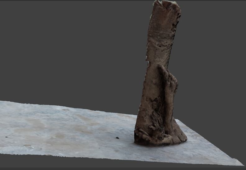 half bark or wood piece 3D model_5