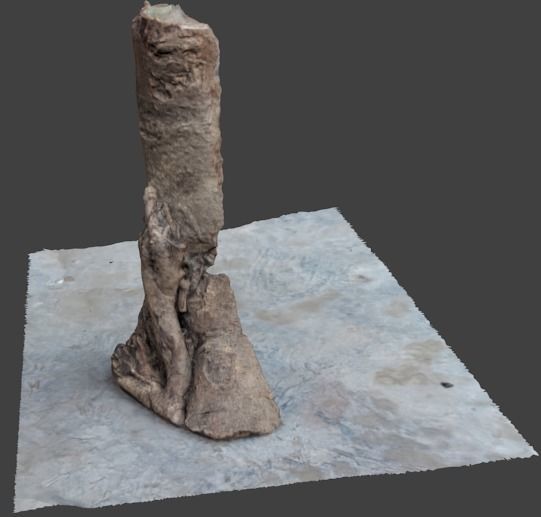half bark or wood piece 3D model_1
