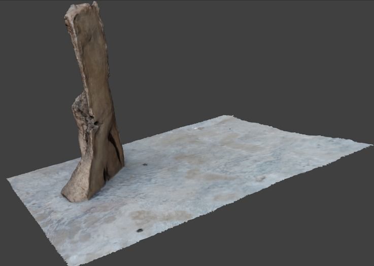 half bark or wood piece 3D model_2