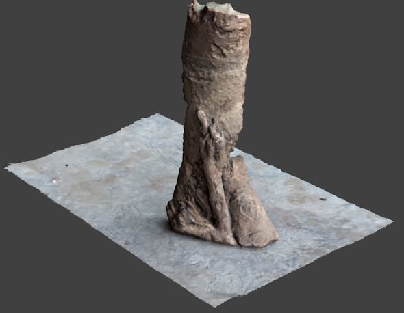 half bark or wood piece 3D model_6