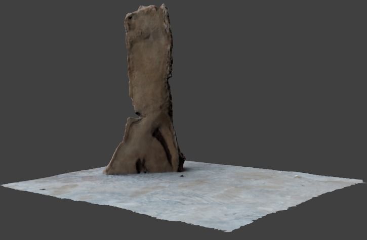 half bark or wood piece 3D model_3