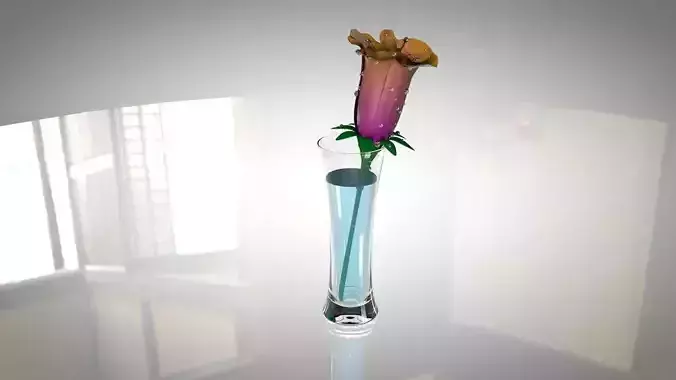 Flower in glass vase