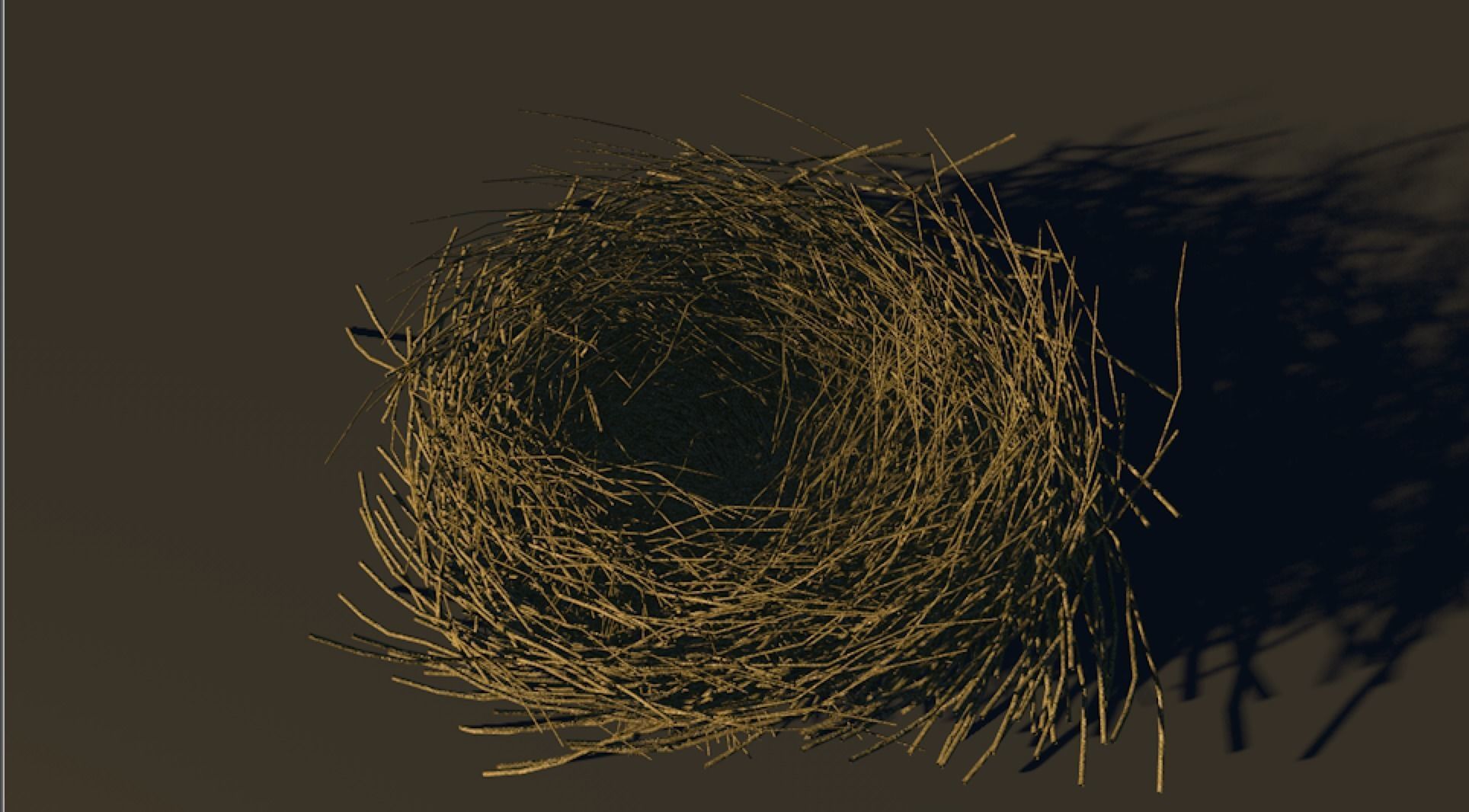 Bird Nest 3D model_7