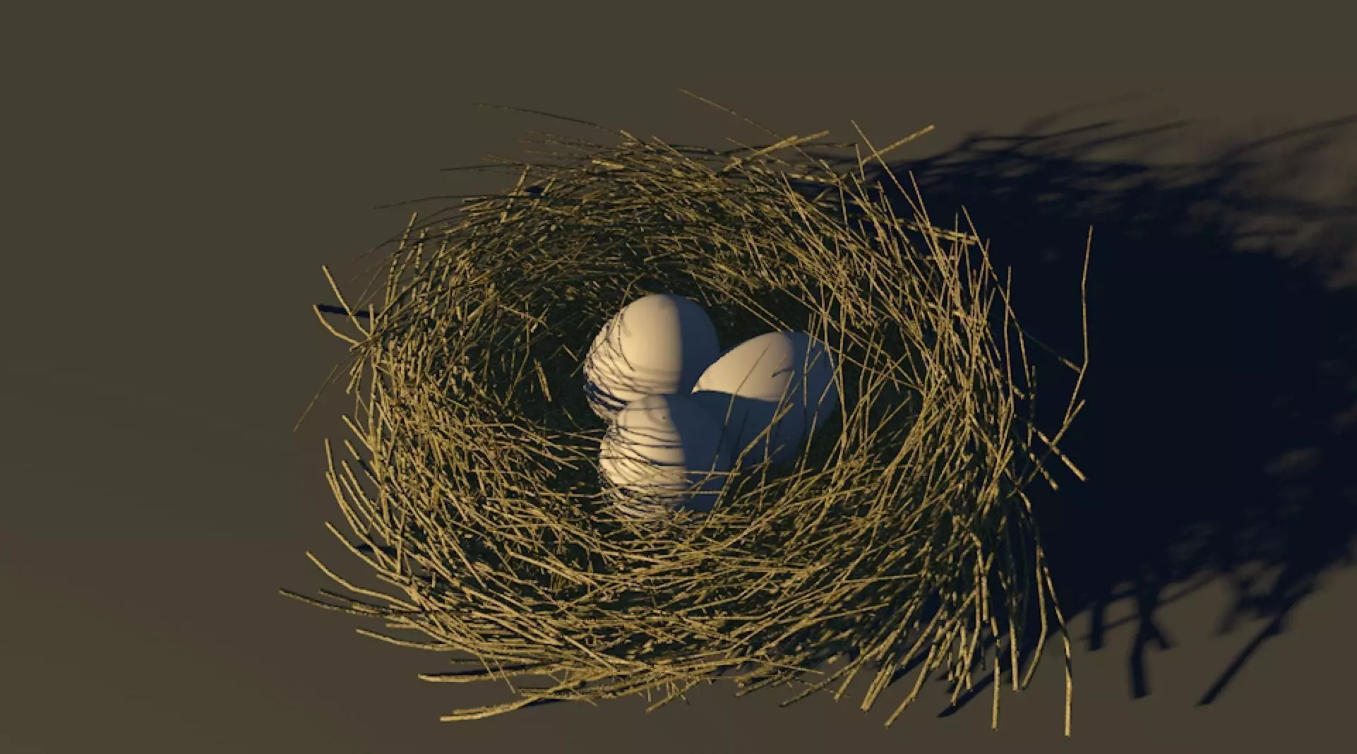 Bird Nest 3D model_0