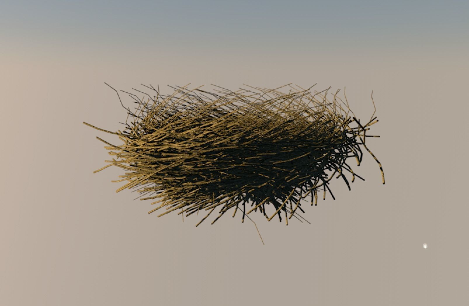 Bird Nest 3D model_2