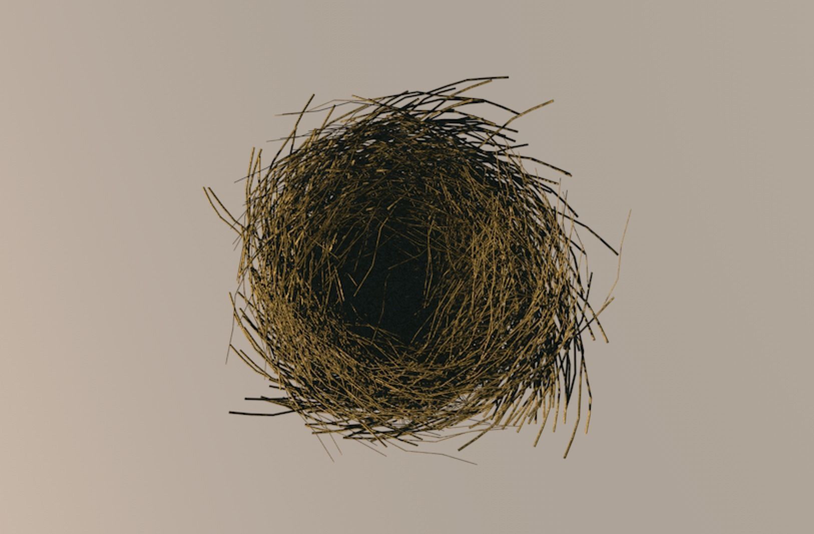 Bird Nest 3D model_3