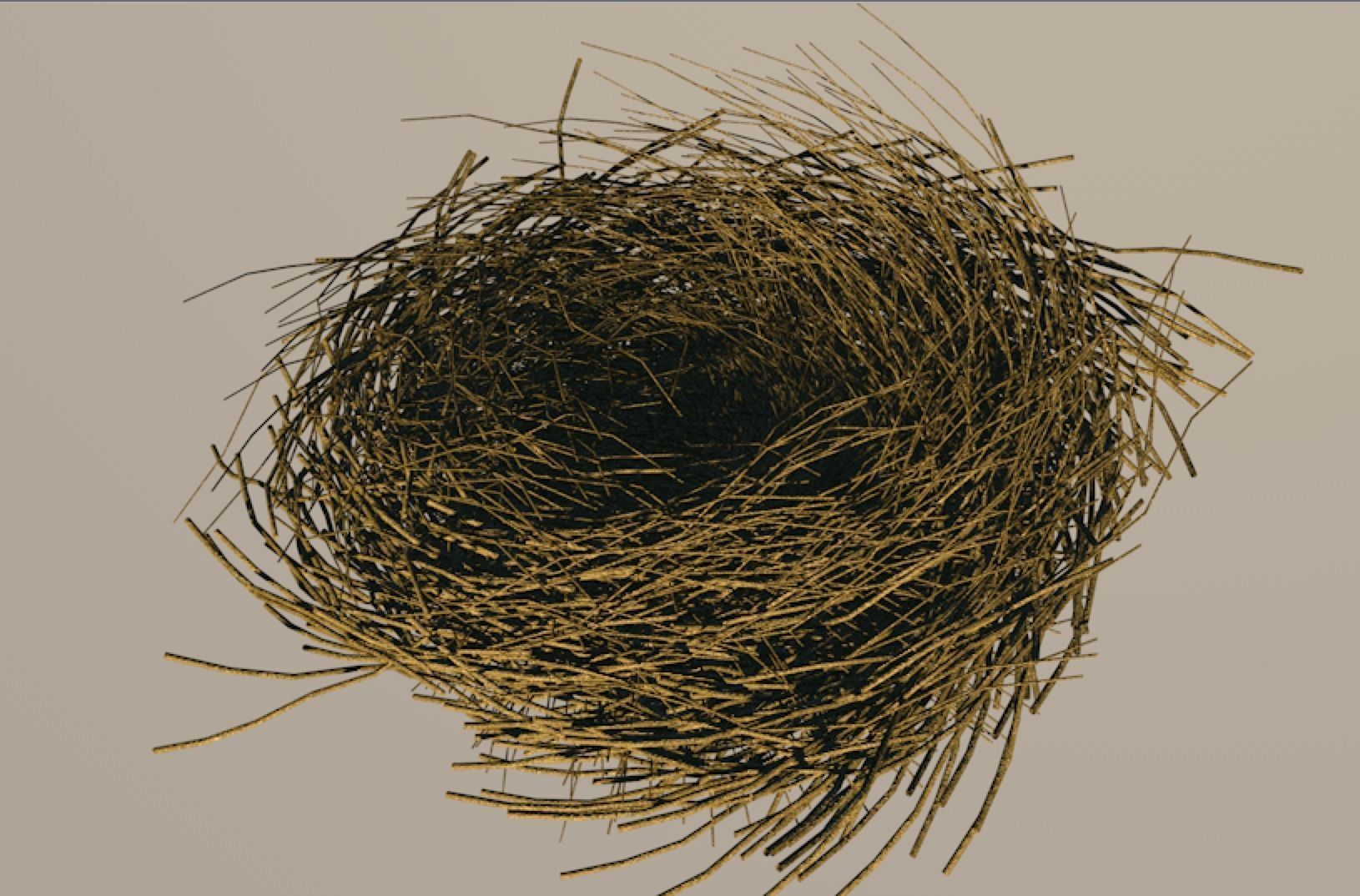 Bird Nest 3D model_4