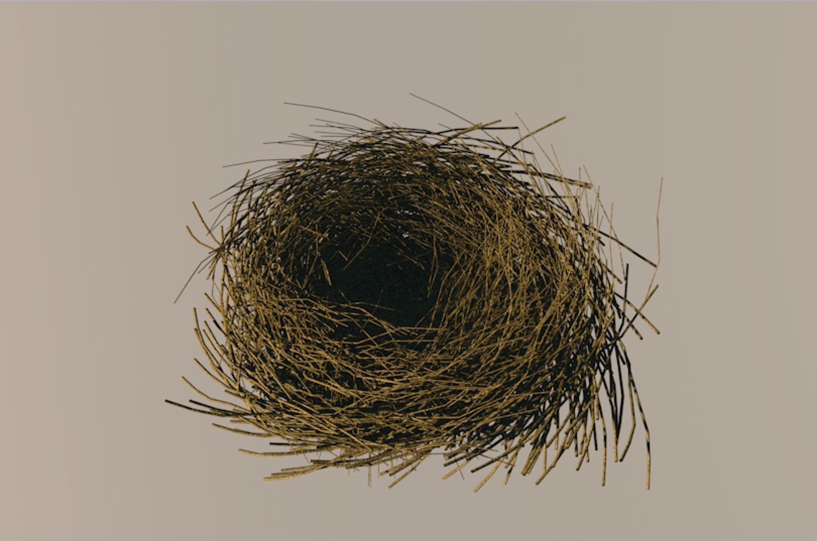 Bird Nest 3D model_1