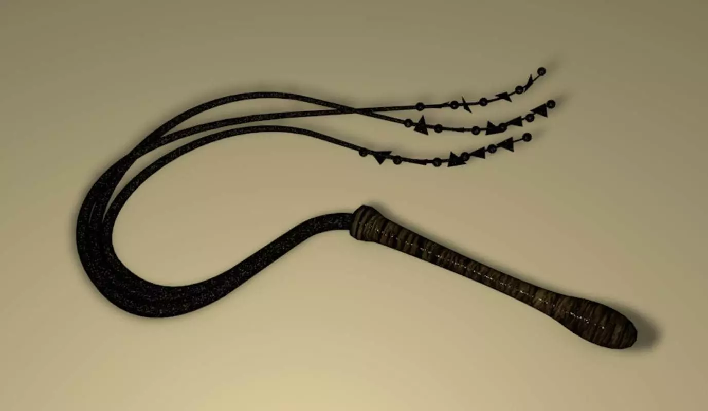 Jesus Whip 3D model_0