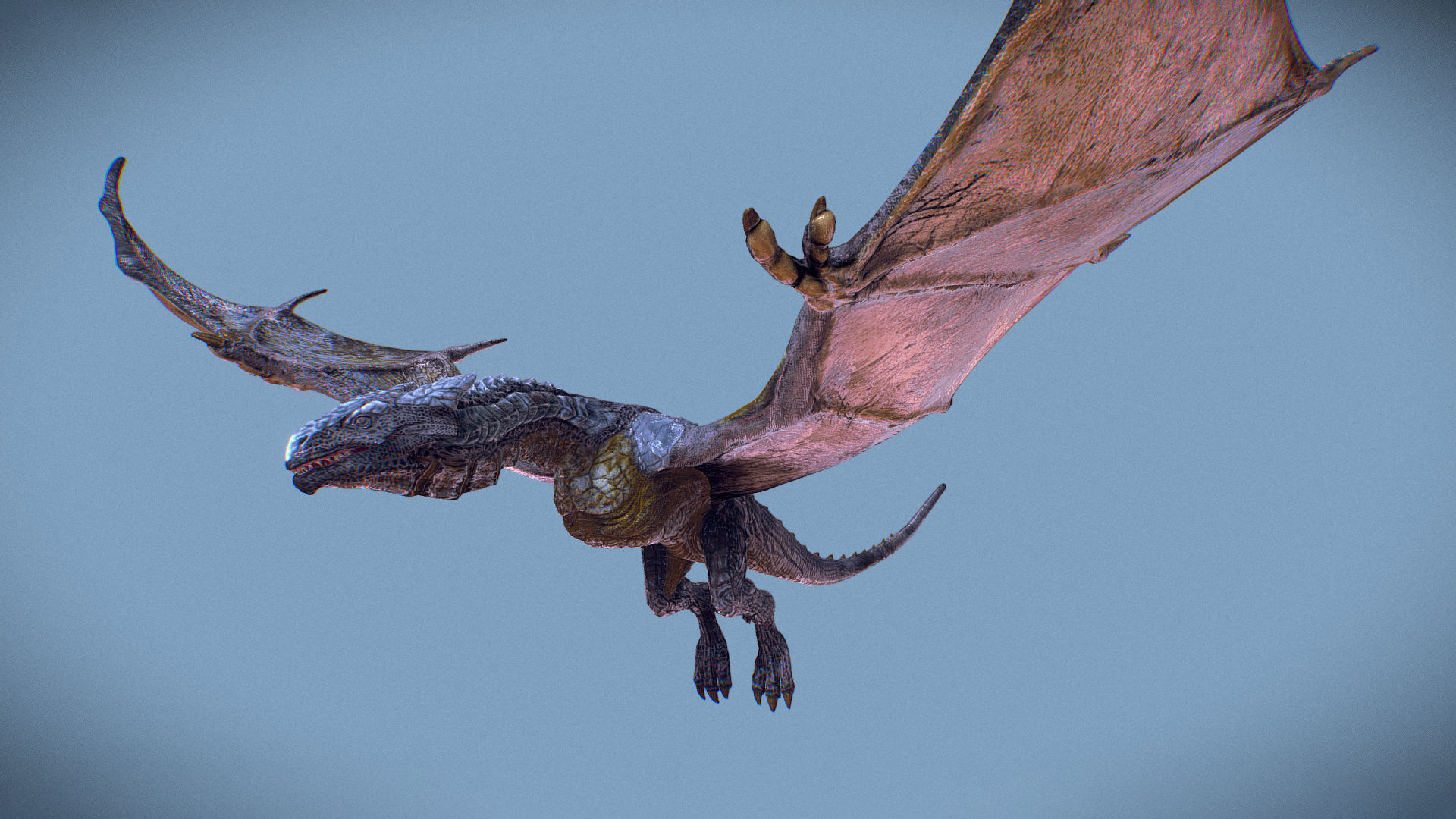 Irval the Wyvern Low-poly 3D model_15