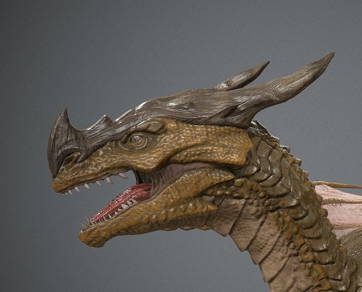 Irval the Wyvern Low-poly 3D model_9