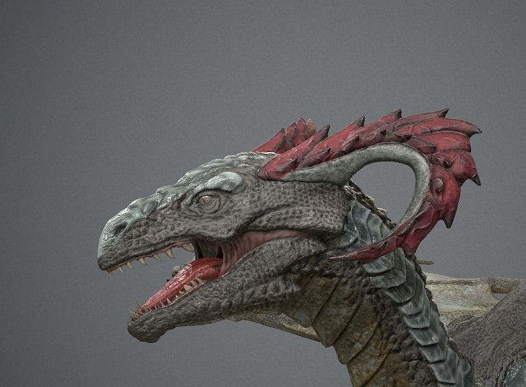 Irval the Wyvern Low-poly 3D model_11