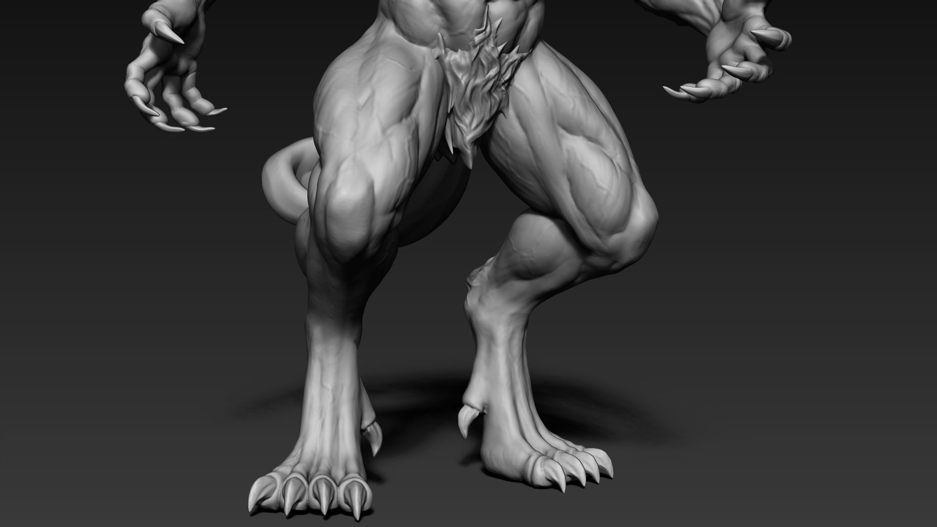 Warewolf Sculpt 3D model_8