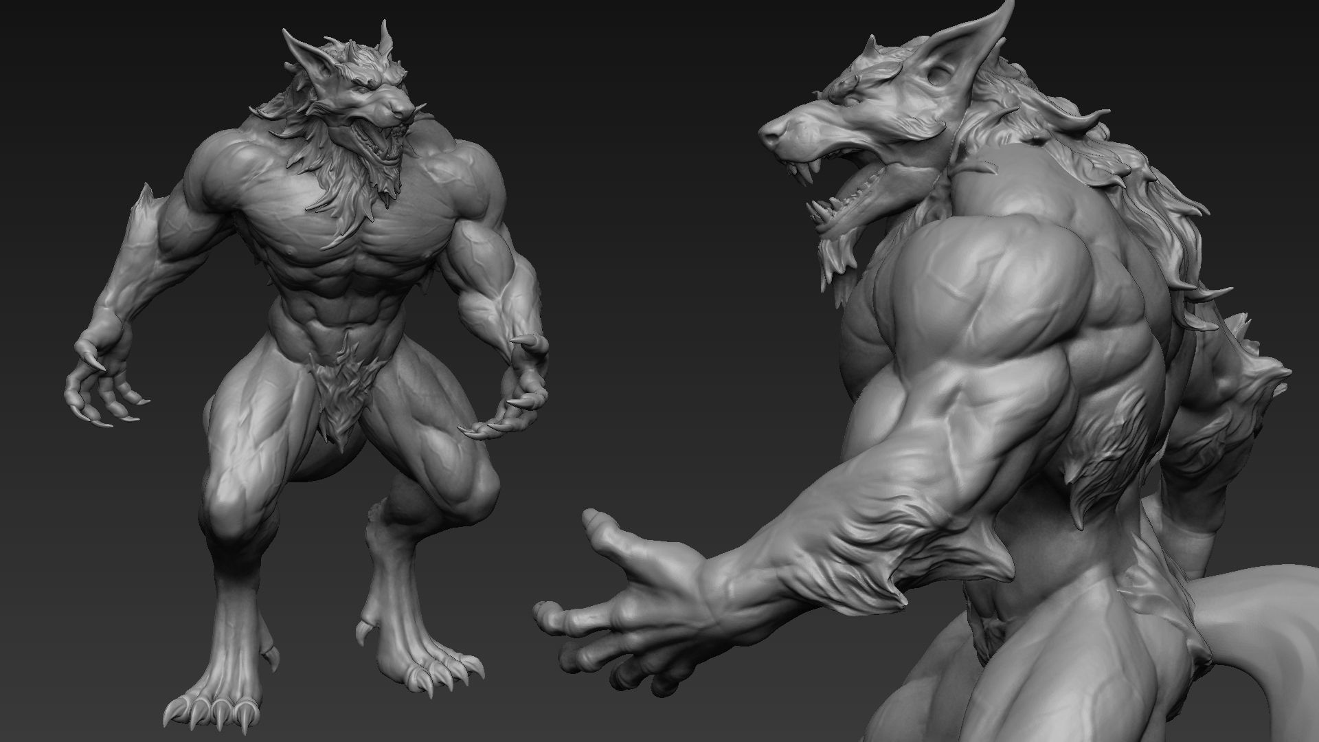 Warewolf Sculpt 3D model_13