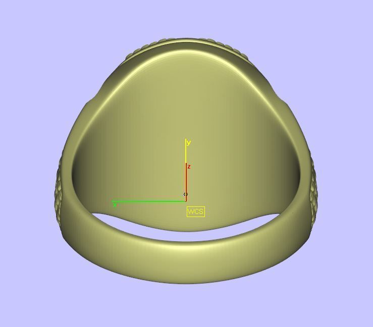 Custom signet claws ring 3D print model_11