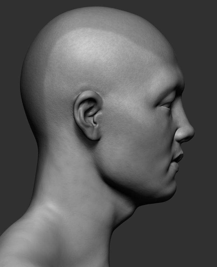 Male Head 3D model_1