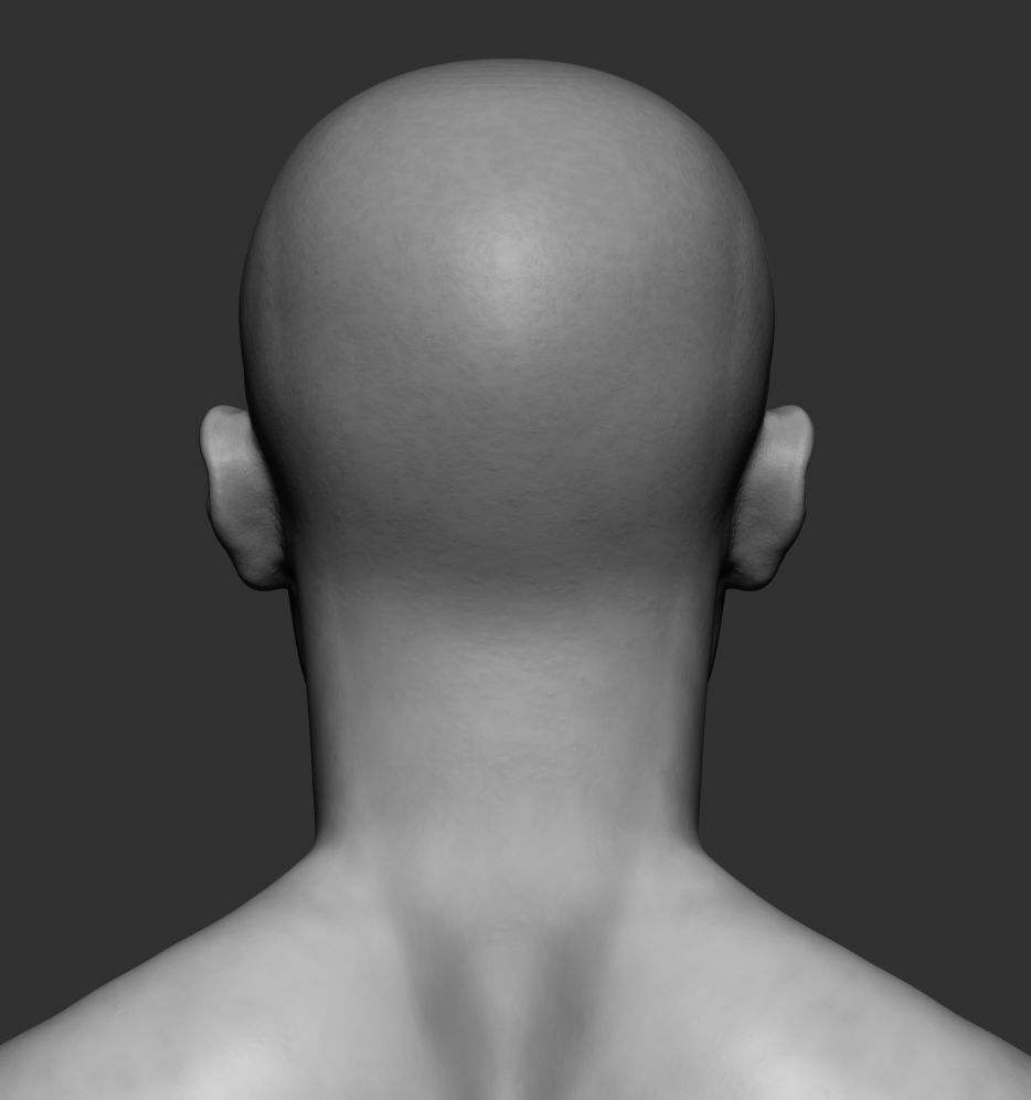 Male Head 3D model_2