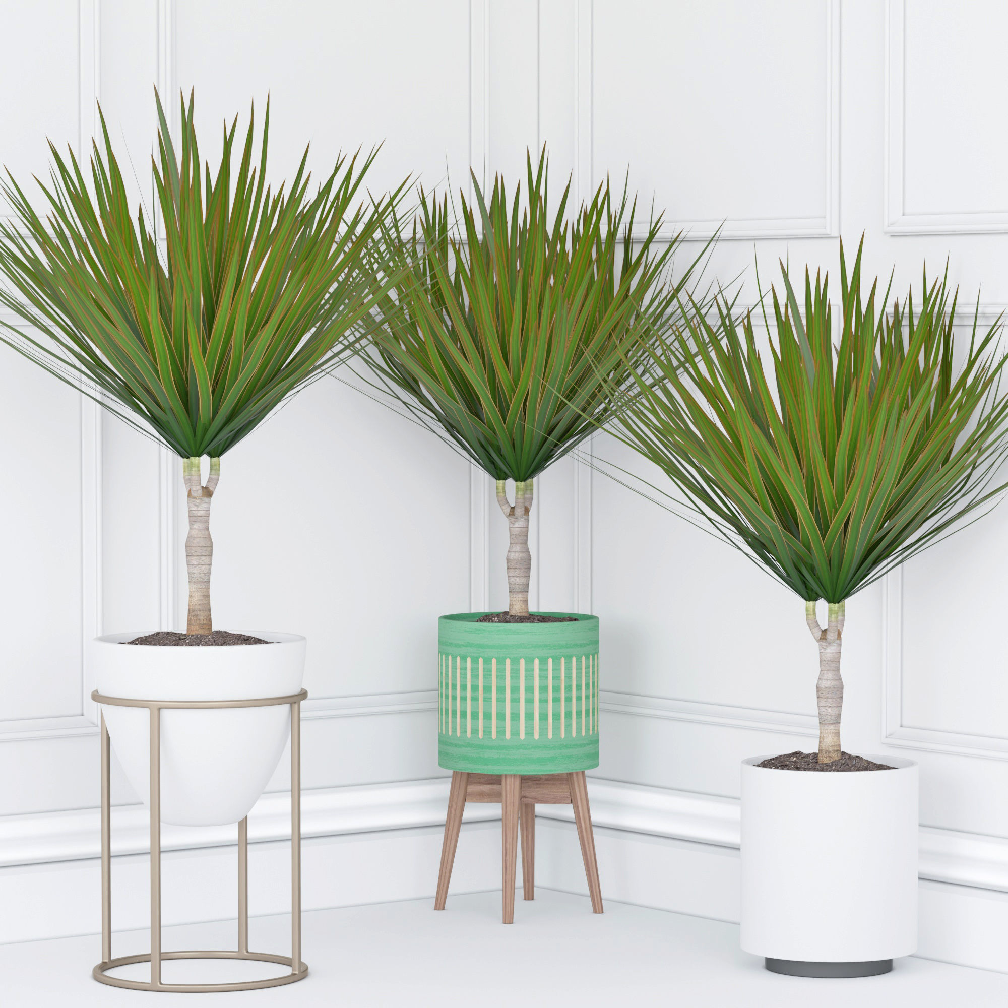 Houseplant 33 3D model_4
