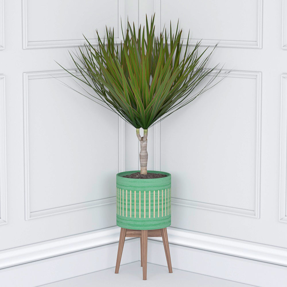 Houseplant 33 3D model_2