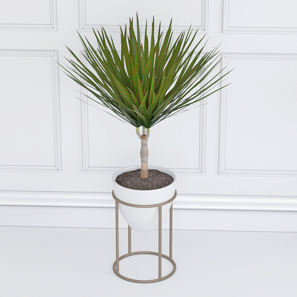 Houseplant 33 3D model_1