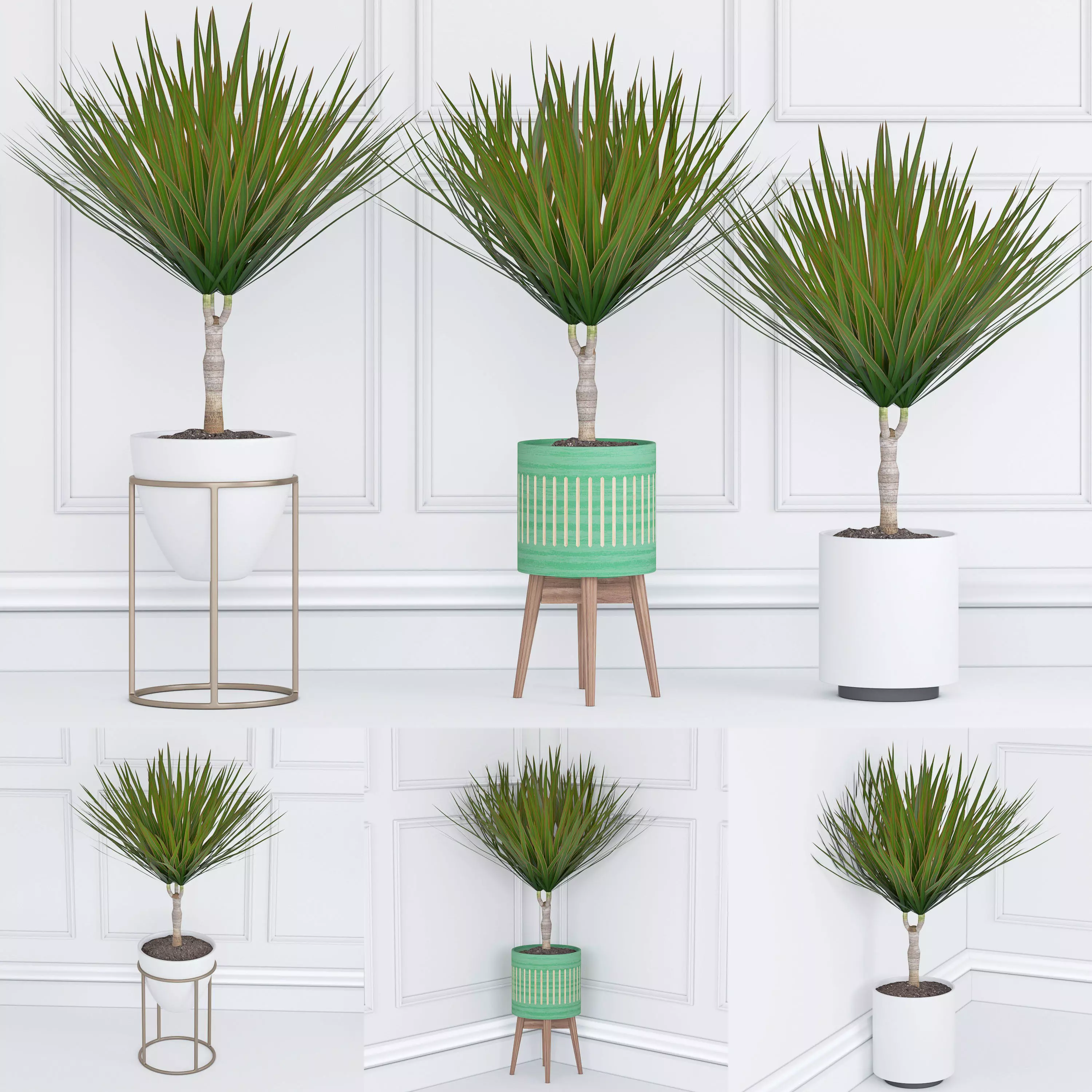 Houseplant 33 3D model_0