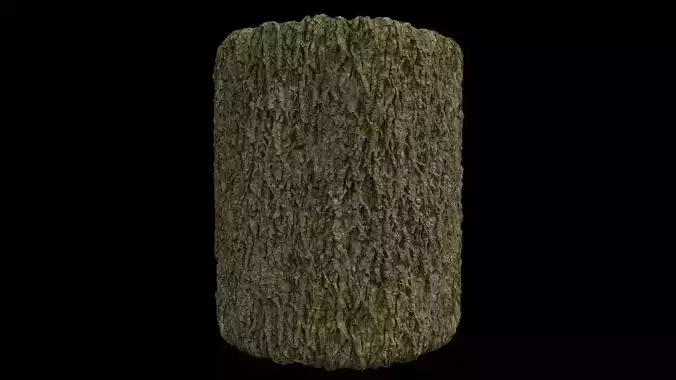 PBR Scanned Tree Bark