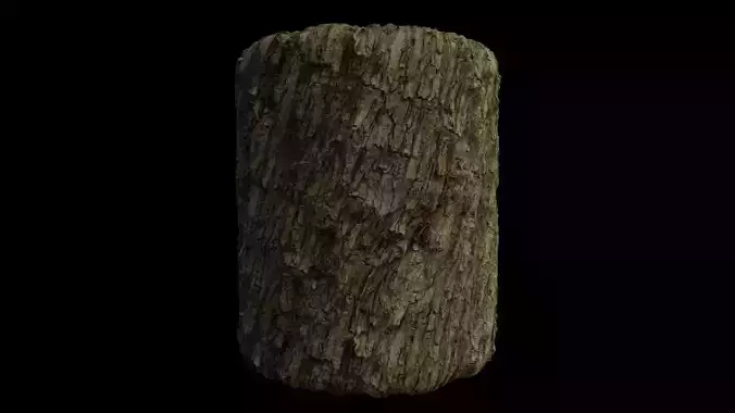 PBR Scanned Rough Tree Bark