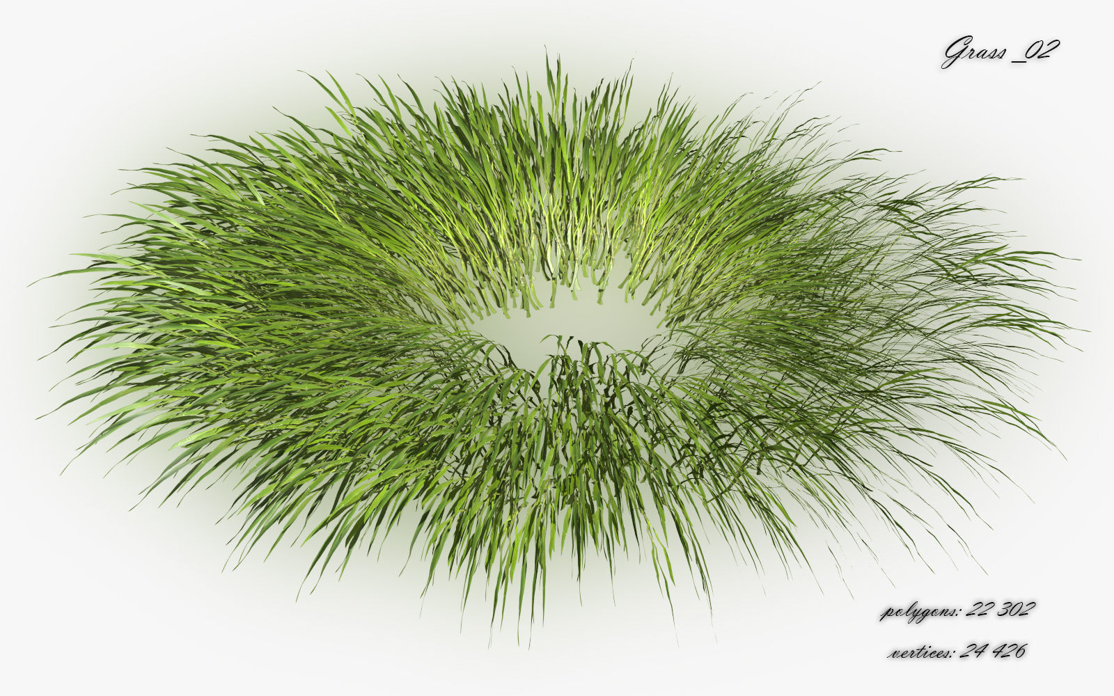 Grass Hakonechloa  Low-poly 3D model_5
