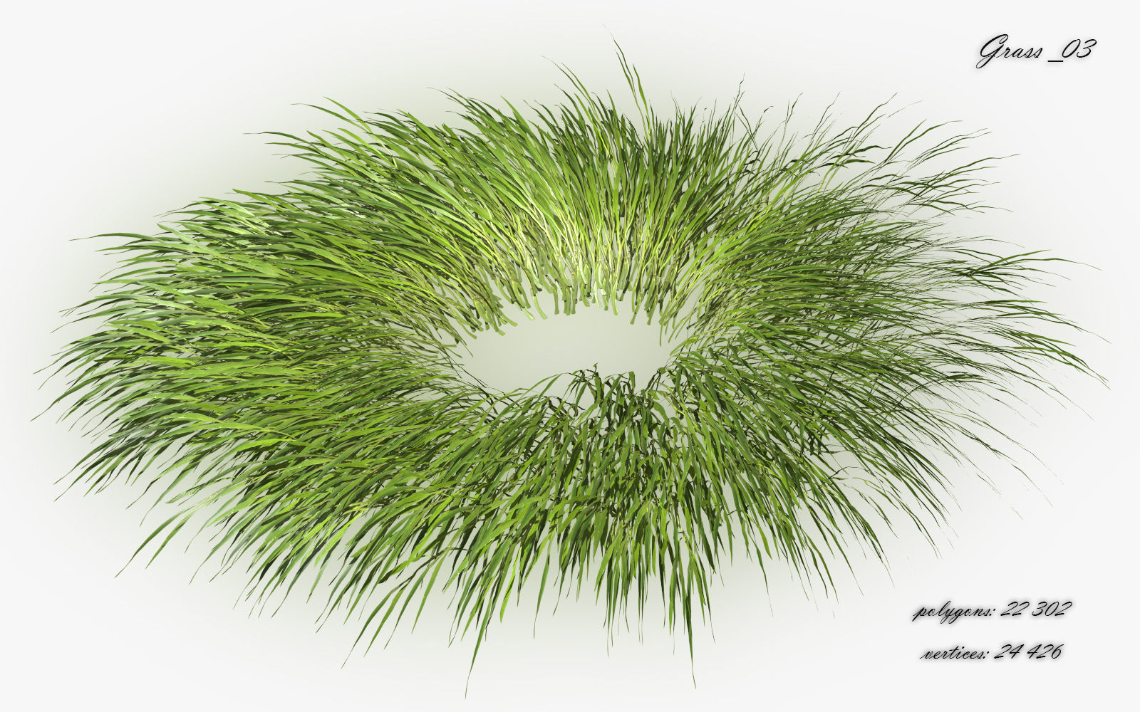 Grass Hakonechloa  Low-poly 3D model_6