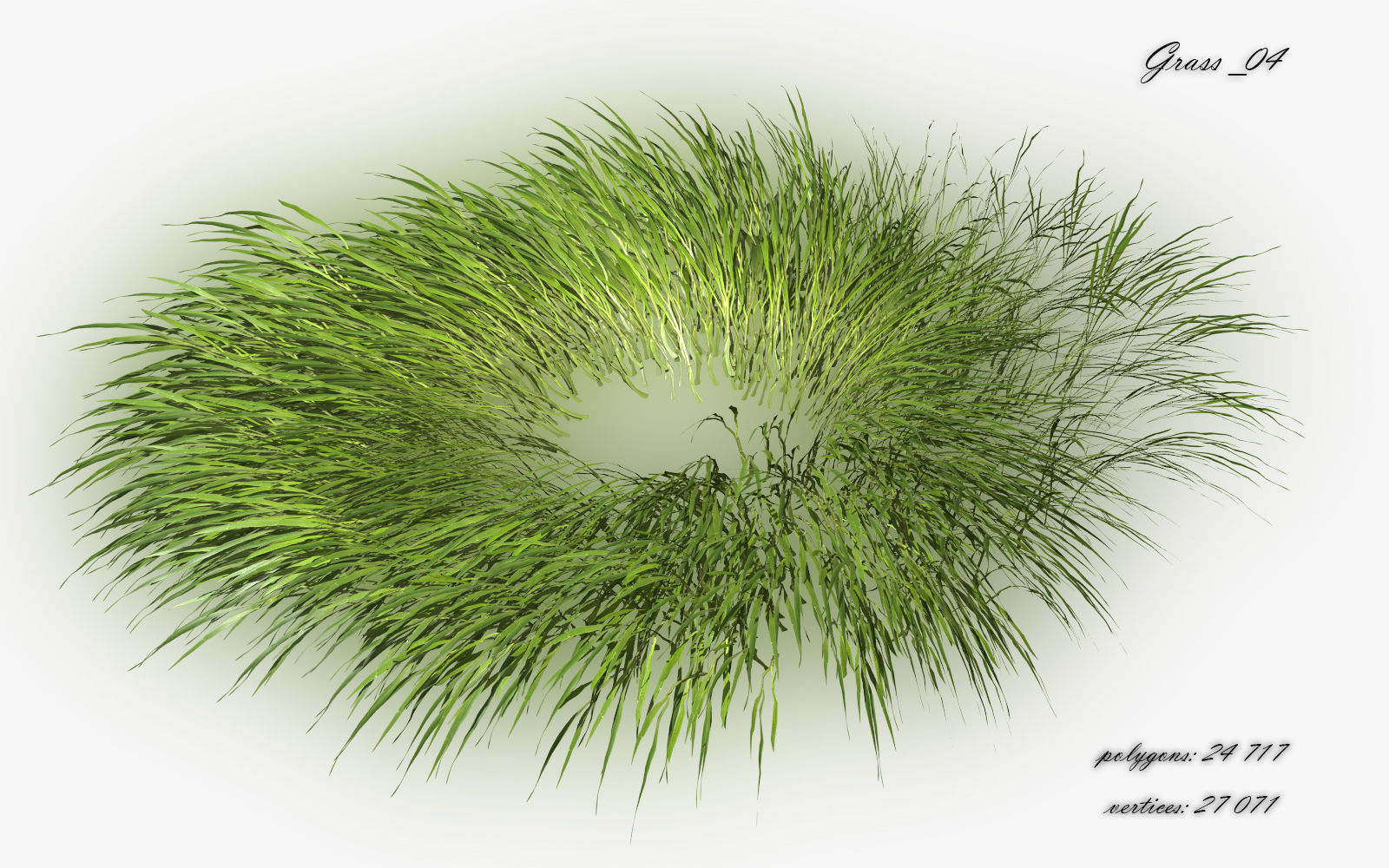Grass Hakonechloa  Low-poly 3D model_8