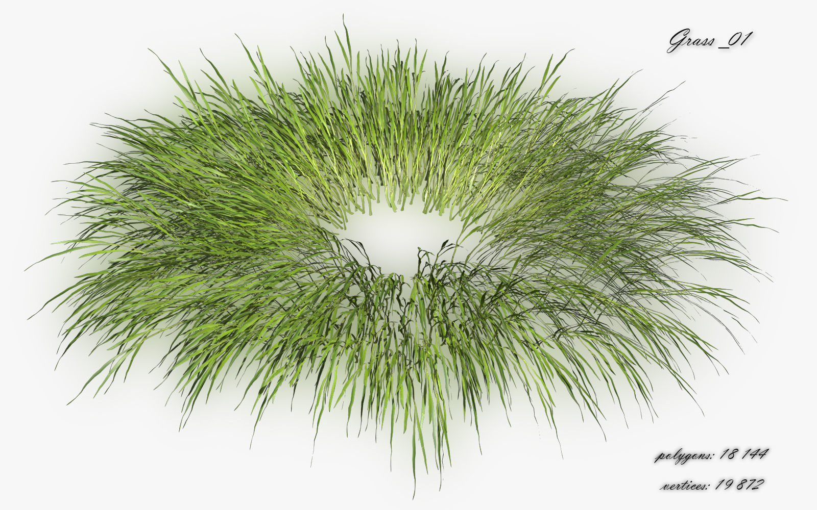 Grass Hakonechloa  Low-poly 3D model_3