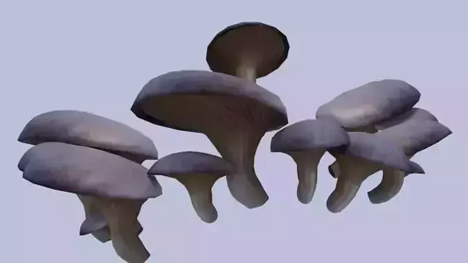 Shrooms 4 group of mushrooms