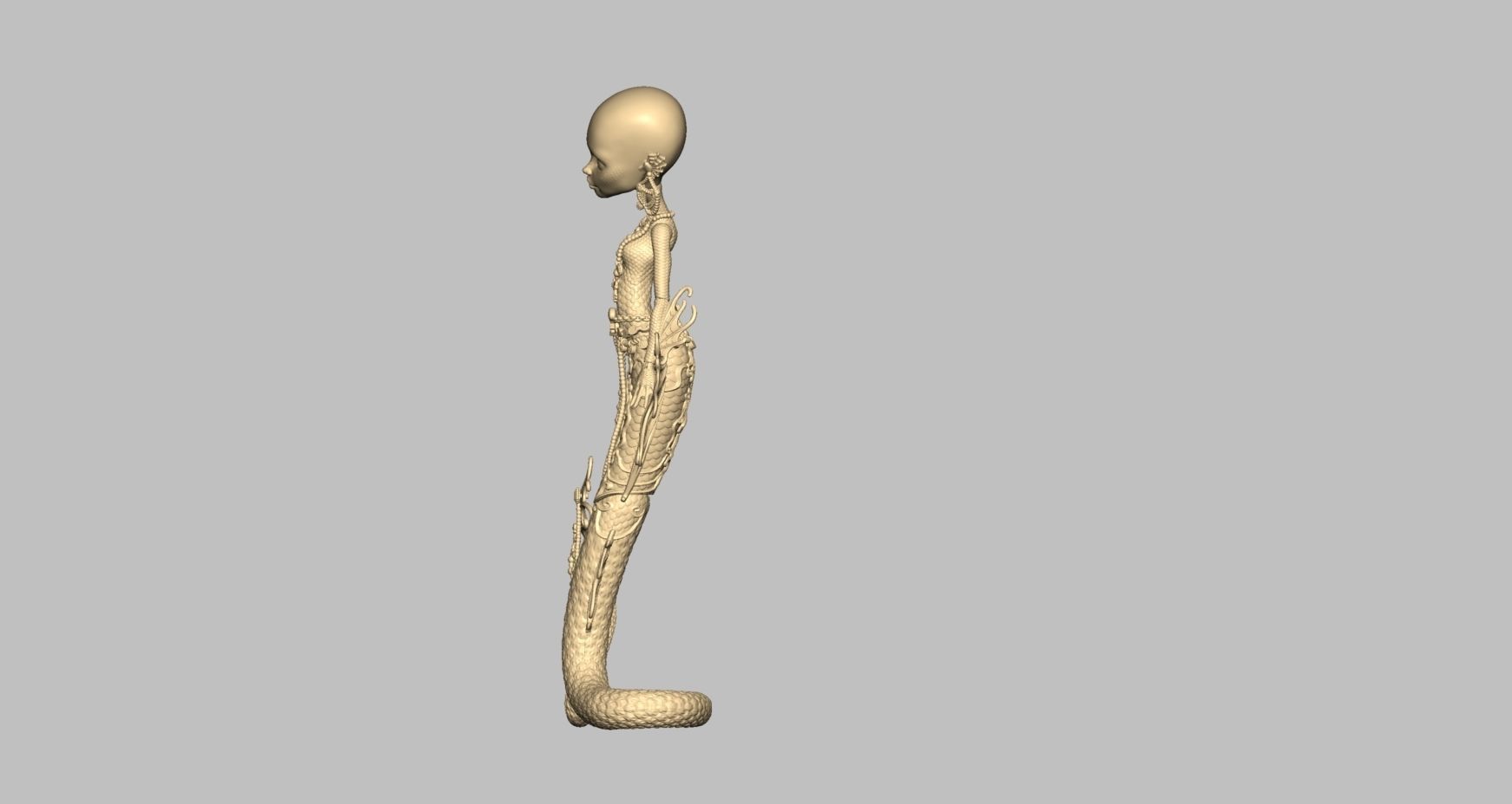 00035   Designed for 3D printing 3D print model_11