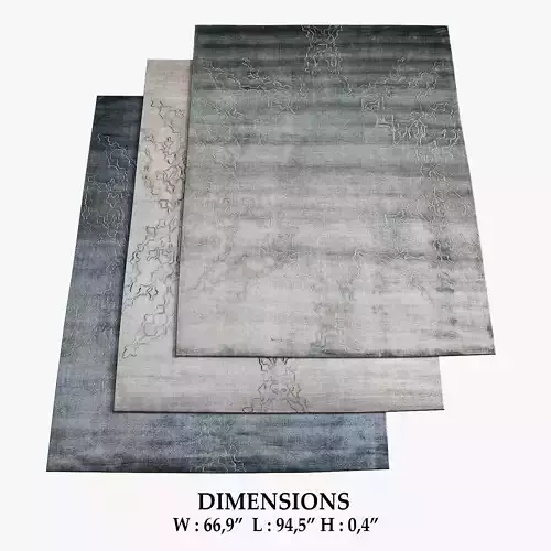 Minko Rugs 216 3D model