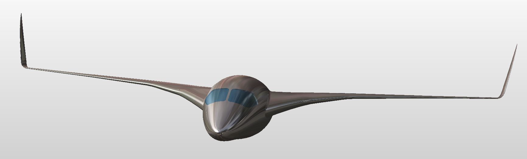 BWB EVO M 3D model_8