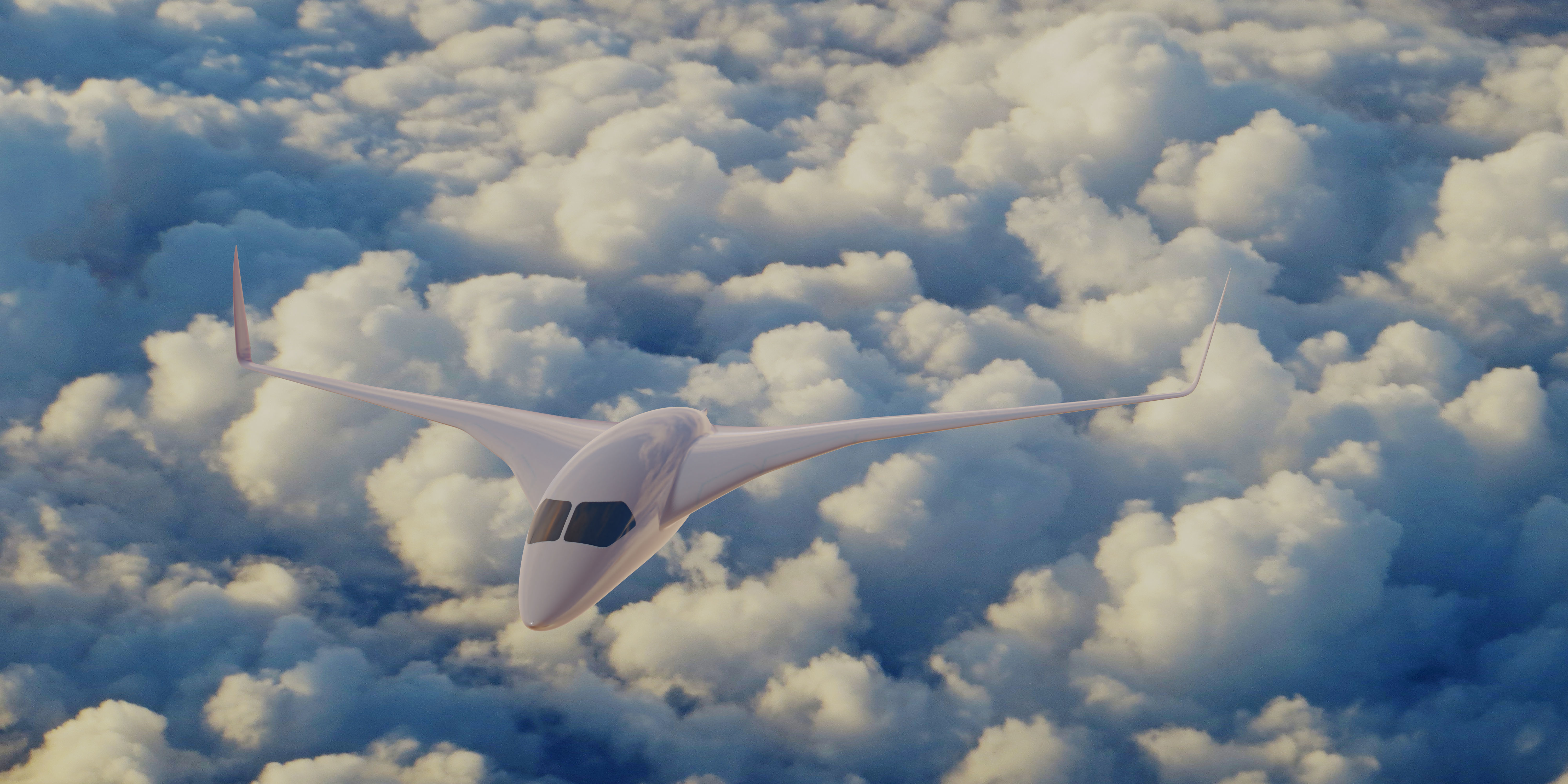 BWB EVO M 3D model_1