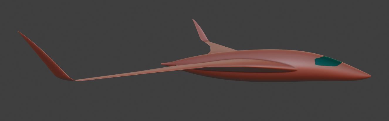 BWB EVO M 3D model_43