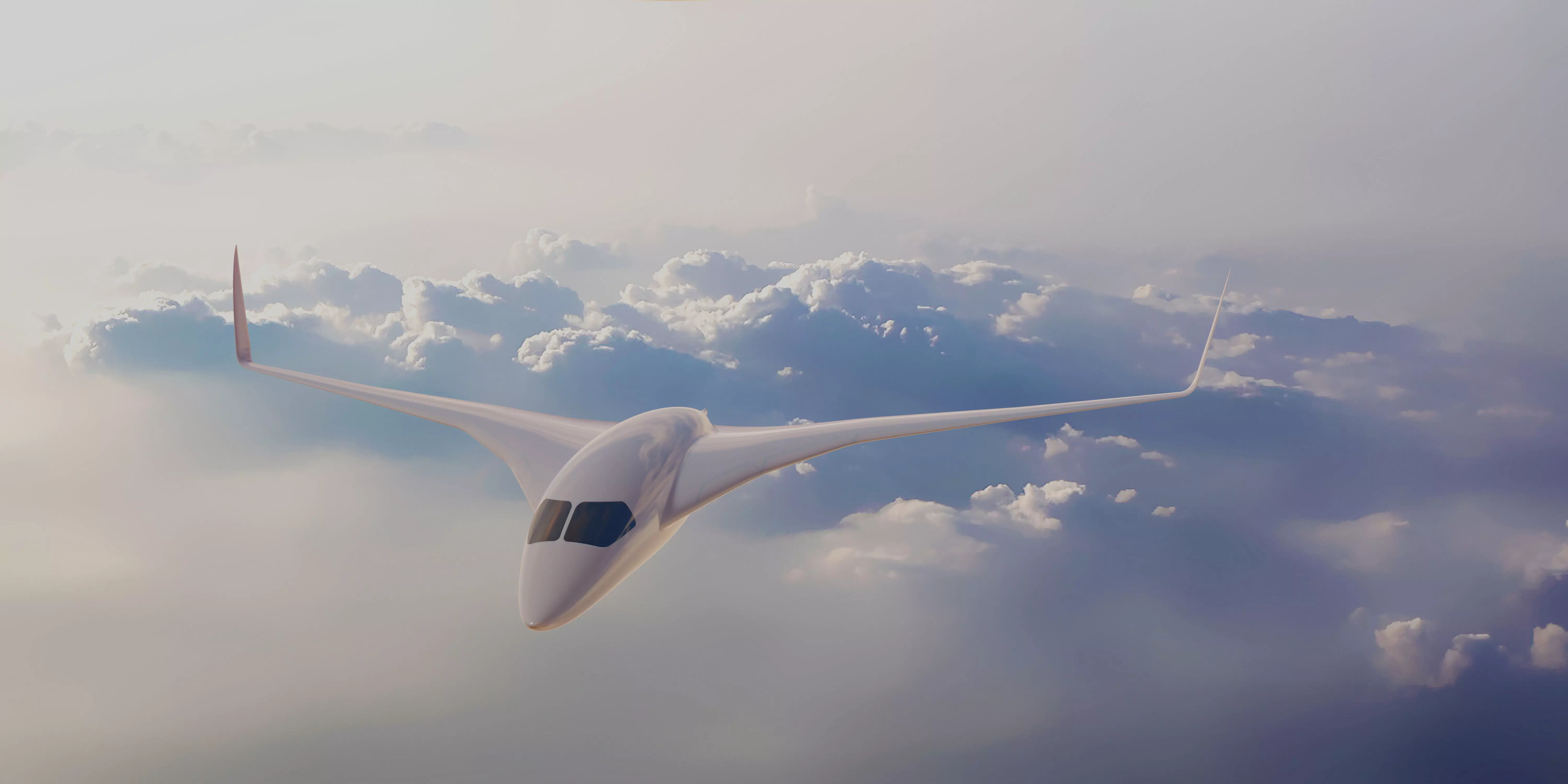 BWB EVO M 3D model_0