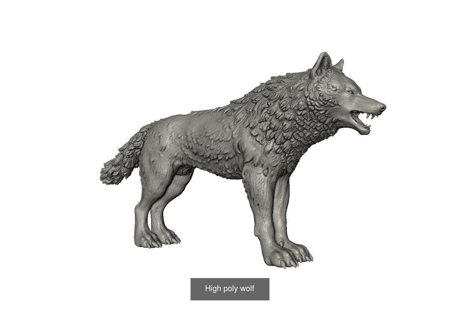 Wolf figures and heads 3D Model Collection_5