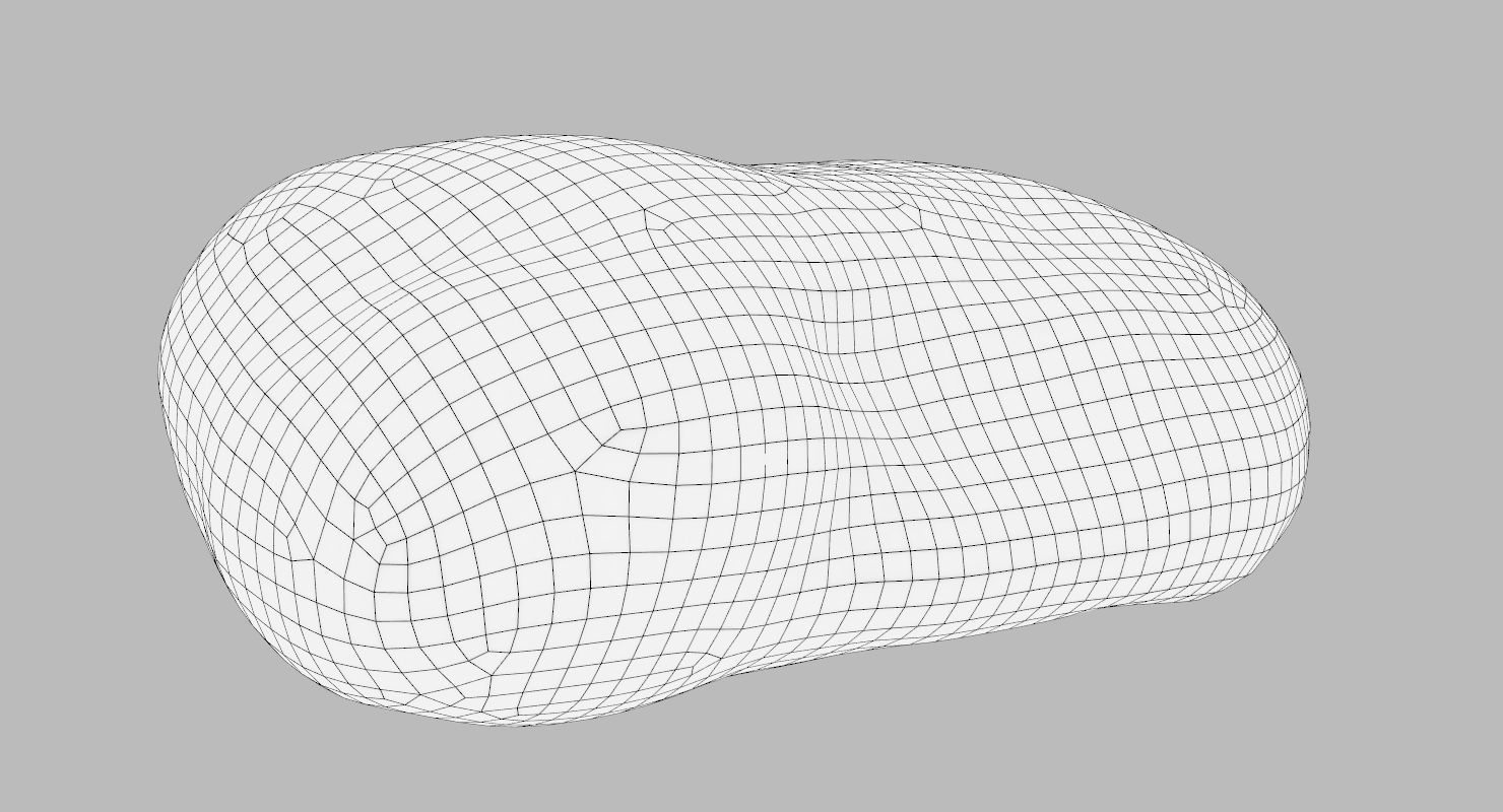 Flat Limestone Pebble 3D model_11