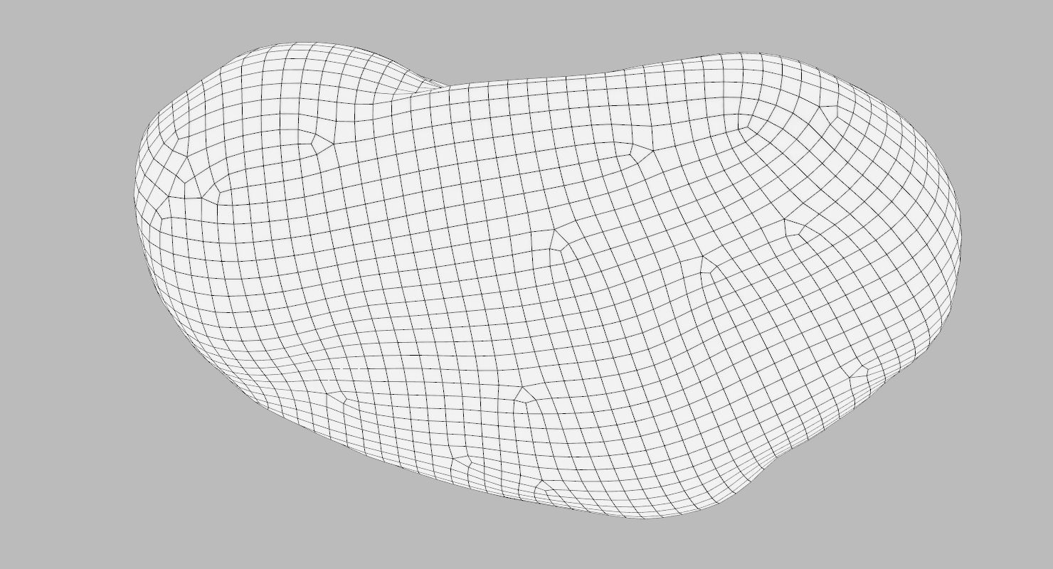 Flat Limestone Pebble 3D model_14