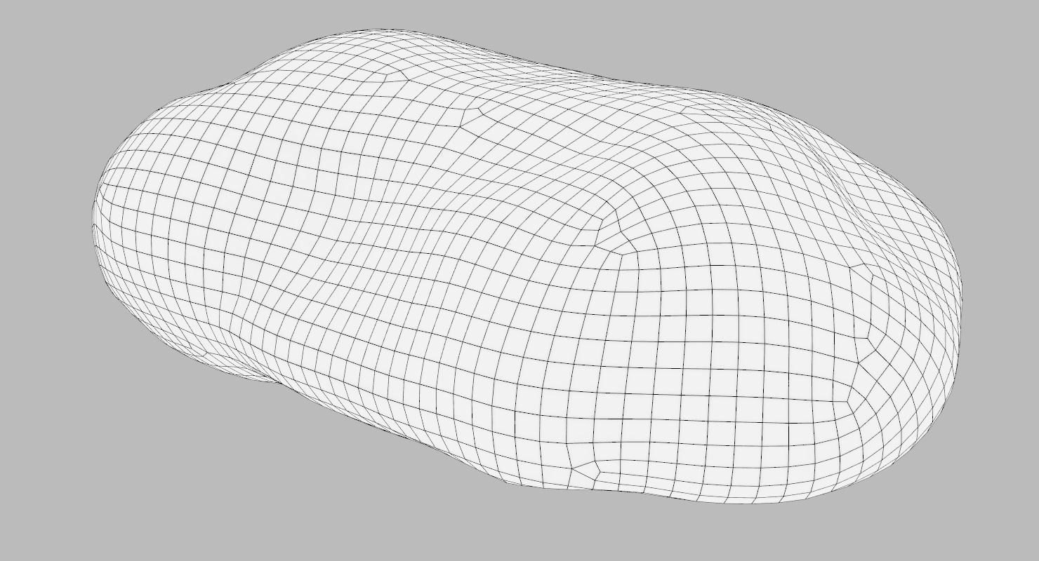 Flat Limestone Pebble 3D model_12