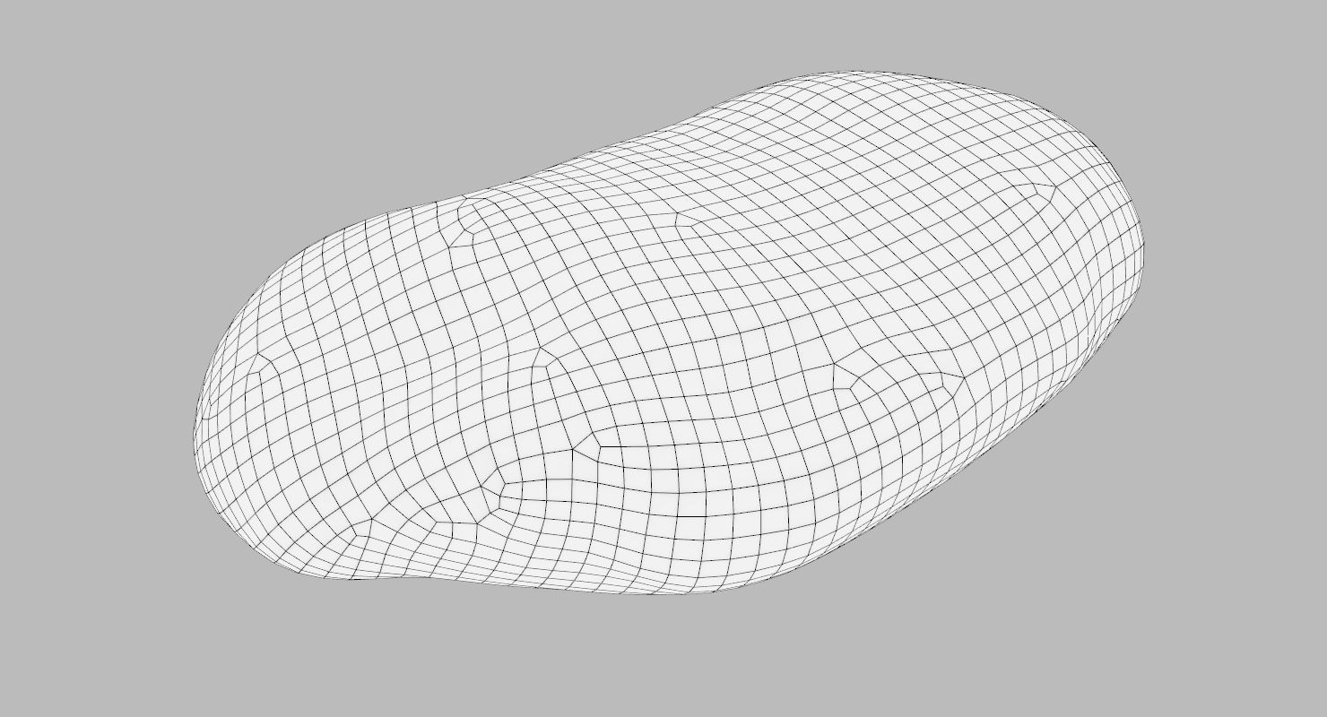 Flat Limestone Pebble 3D model_8