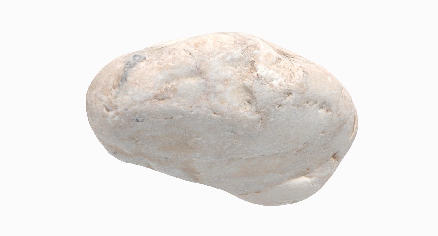 Flat Limestone Pebble 3D model_5