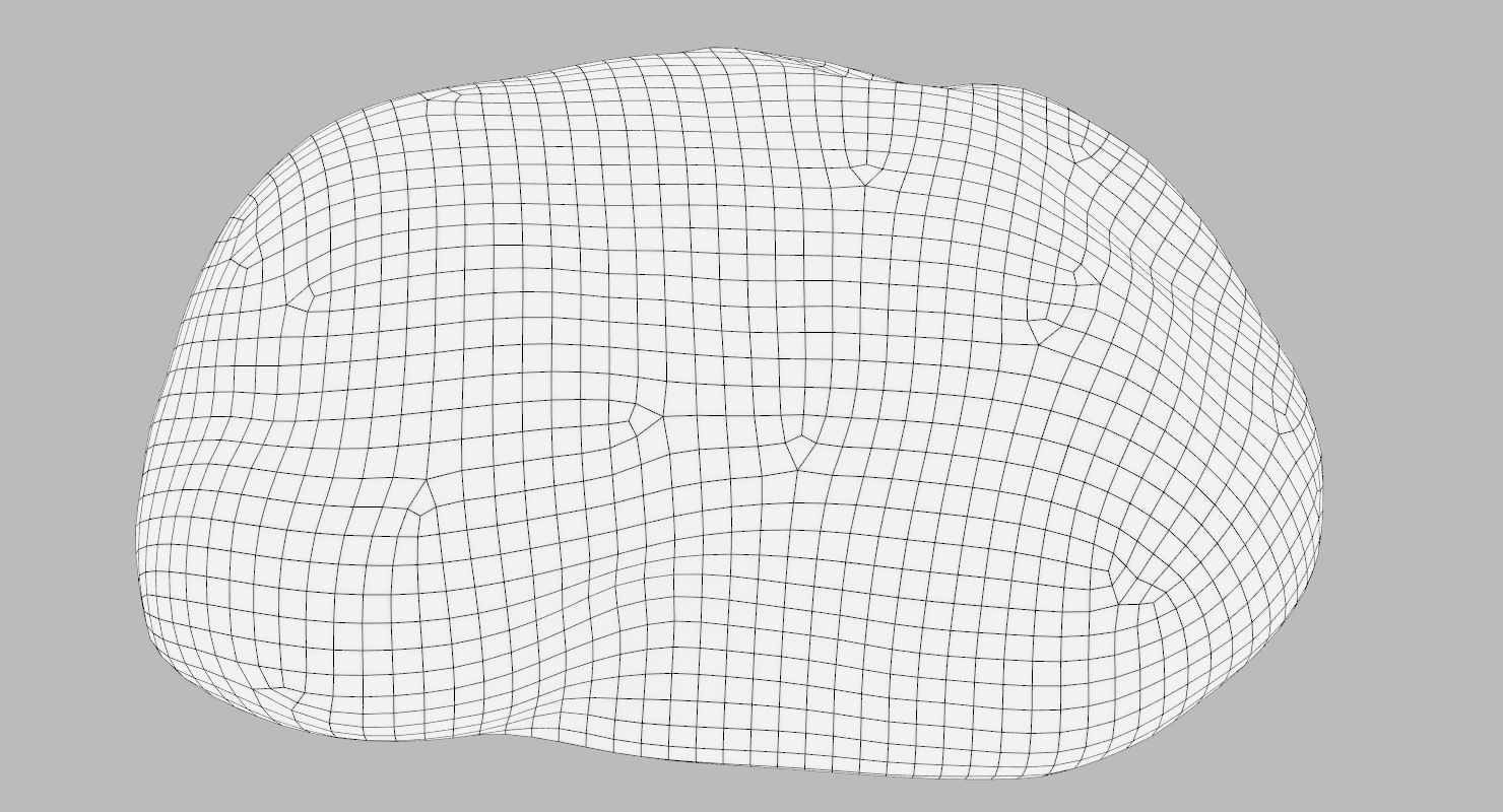 Flat Limestone Pebble 3D model_13