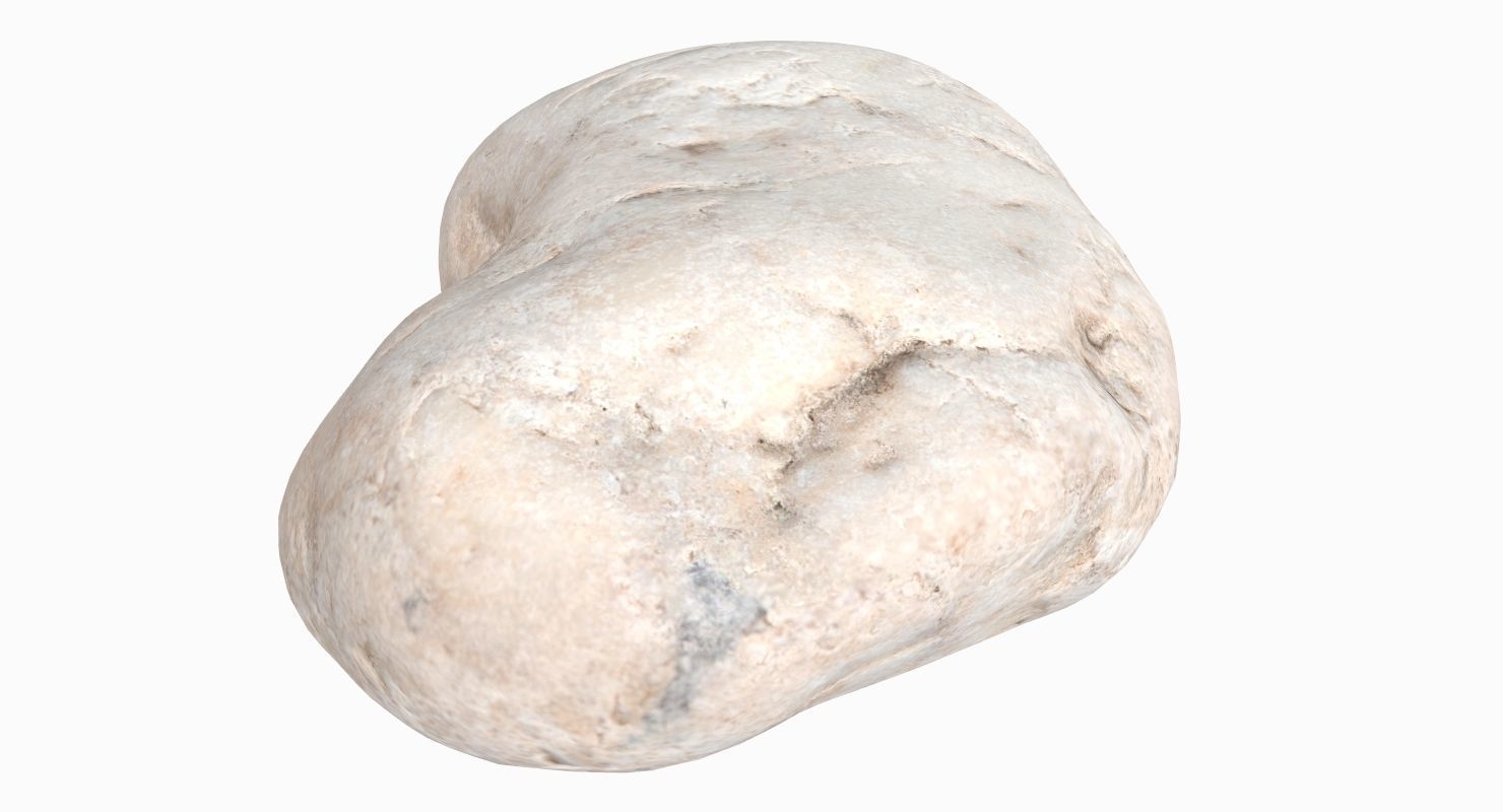Flat Limestone Pebble 3D model_4